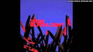 Iris - Disintegrate