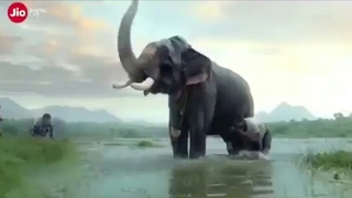 Jio new ad Dhan Dhana Dan  | IPL 2017