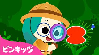 しょくちゅうしょくぶつ | むしハンター | ふしぎのうた | サメの家族 | 童謡 | ピンキッツPINKFONG