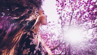 Soothing Healing Meditation Music | 528Hz Positive Energy | Solfeggio Frequency | Self Love Energy