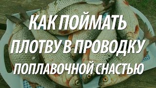 ЛОВЛЯ В ПРОВОДКУ ПЛОТВЫ ПОПЛАВОЧНОЙ СНАСТЬЮ