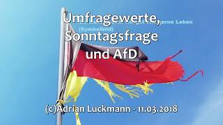 Umfragewerte, Sonntagsfrage und AfD