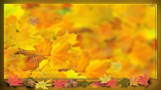 Фон для видеомонтажа Листопад HD Video Background