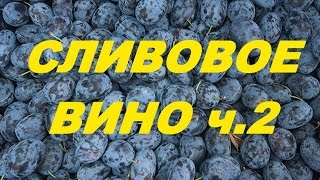 Сливовое вино ч.2.Plum wine part 2.