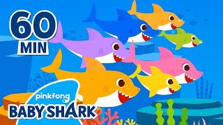 Baby Shark Doo Doo Doo 1 hour | +Compilation | More and More 
