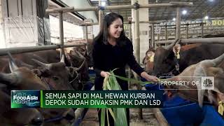 Antusiasme Pengusaha & Pembeli Hewan Kurban Di Depok