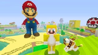 Minecraft: Super Mario Edition - My Offering To Mario {9}