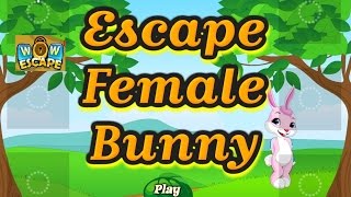Wow  Escape Female Bunny walkthrough Wowescape..