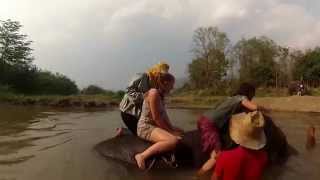 Gopro: Elefantenreiten in Thailand! (Elephant riding)