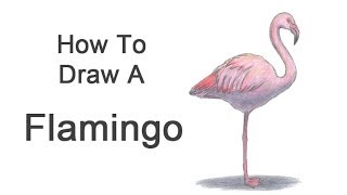 How to Draw a Flamingo