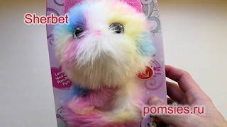 POMSIES SHERBERT, РАДУЖНЫЙ КОТЕНОК ПОМСИ