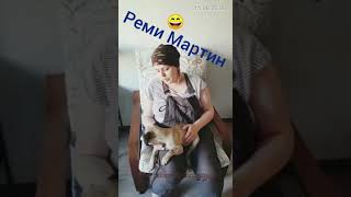 Оригинальный отзыв о щенке мопса из нашего Питомника «Loyal Friend"