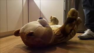 Nike, Adidas and Reebok sneakers stomp / trample big plush / stuffed Teddy Bear