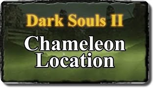 Dark Souls II Wiki - Chameleon Location