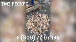 Дробилка головок чеснока на зубки Зубец-2