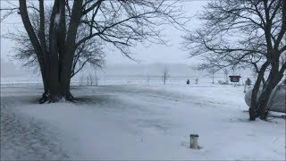 Snowy Days & Chickens!
