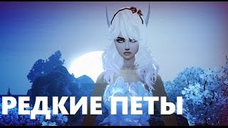 ЖИЗНЬ на PW136: НОВЫЙ ЕЗДОВОЙ ПЕТ, РЕДКИЕ ПИТОМЦЫ в Perfect world