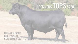 STgenetics® Beef & Kyle Conley Discuss Penners Tops At NWSS 2020