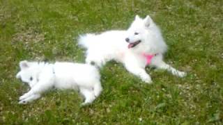 SONIA and SASHA