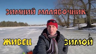 Как добыть живца зимой. Испытываем Зимний Малявочник в минской области