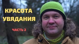 Сухостои, растения поздней осенью; декоративные растения осенью; садоводство осенью (часть 2)