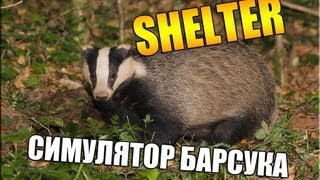 Симулятор барсука - Shelter