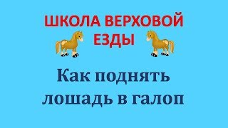 Как поднять лошадь в галоп