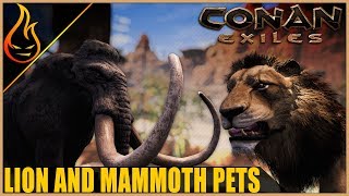 How To Get The Lion And Mammoth Pets Conan Exiles 2019