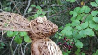 The Gruffalo
