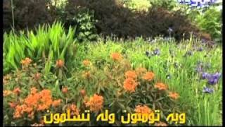 الزيارة الجامعة الكبيرة