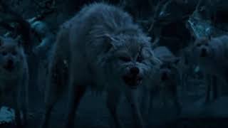 LPS Beauty and the Beast Trailer