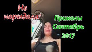 Подборка приколов Сентябрь 2017