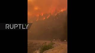 USA: Dixie Fire scorches forestland along Highway 89 in California