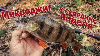 Как ловить хищника в середине весны | Ловля окуня на микроджиг | Оптимальная проводка