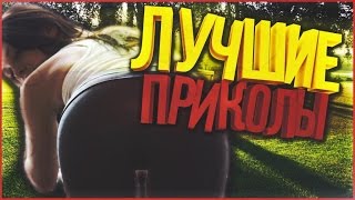 ЛУЧШИЕ ПРИКОЛЫ АВГУСТА # 5 Классный Бампер