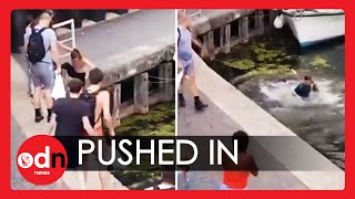 Swans Kicked and Man Pushed into Canal by Group in Shocking Footage