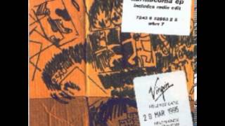 Massive Attack- Protection (the Eno mix)