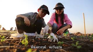 ทุ่งสวรรค์  ตะวันฉาย เวอร์ชั่นเด็ก [OFFICIAL MV]