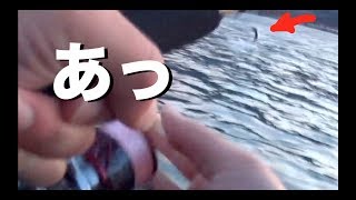 春シーバス、やってしまいました… 編