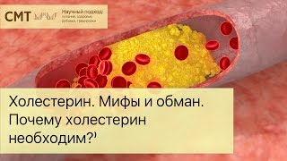 Холестерин. Мифы и обман. Почему холестерин необходим?