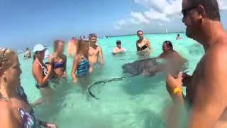 Kayla kissing the stingrays for 7 years of good luck