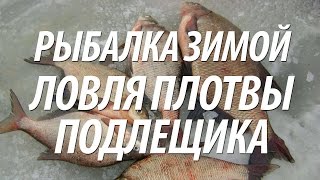 ЛОВЛЯ ПОДЛЕЩИКА, ПЛОТВЫ ЗИМОЙ СО ЛЬДА. РЫБАЛКА В СМОЛЕНСКОЙ ОБЛАСТИ