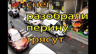 снег разобрали, перины трясут, кругом сибиряки.