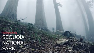 SOLO Backpacking SEQUOIA NATIONAL PARK- Sierra Nevada MTS.