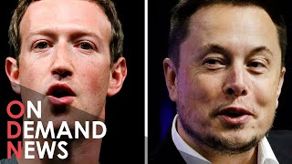 UFC Billionaire Brawl: Musk vs Zuckerberg - Fight of the Century?