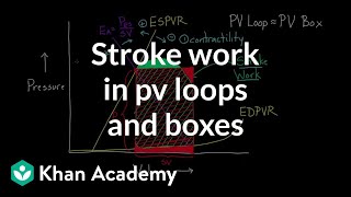 Stroke work in PV loops and boxes | Circulatory system physiology | NCLEX-RN | Khan Academy