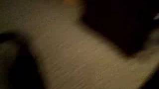 Cat Talking Gonzo