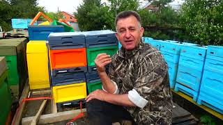 У МЕДВЕДЕЙ родился НУКЛЕУС....