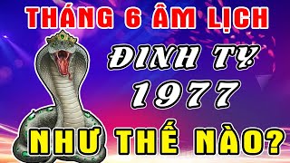Tử Vi Tháng 6 Âm Hé Lộ Tuổi ĐINH TỴ 1977, Trải Qua TAI ƯƠNG, Vươn Lên Giàu Có, ĐỔI ĐỜI ĐẠI GIA