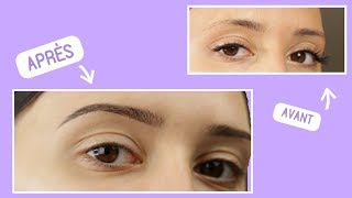 La science des sourcils  - comment adapter tes sourcils à ton visage ? - shantiglam